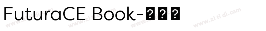 FuturaCE Book字体转换